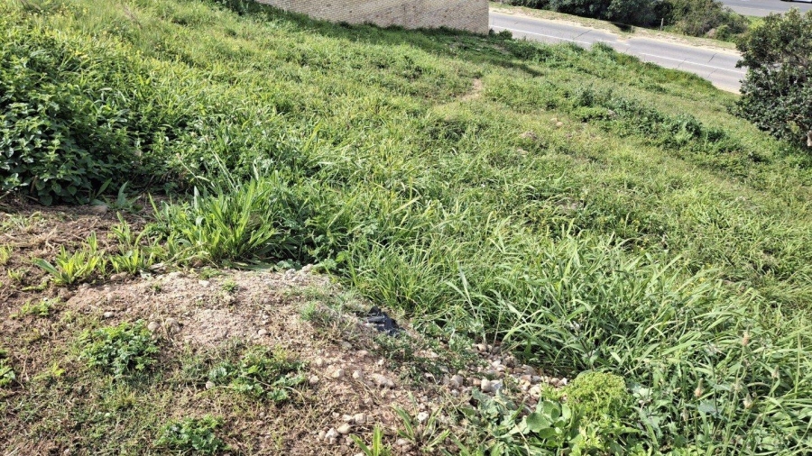 0 Bedroom Property for Sale in Menkenkop Western Cape